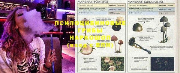 скорость Богданович