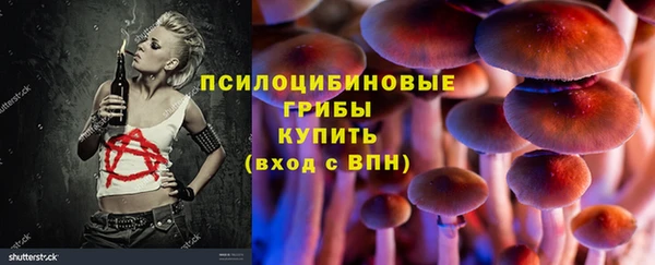 соль курить ск Богородицк